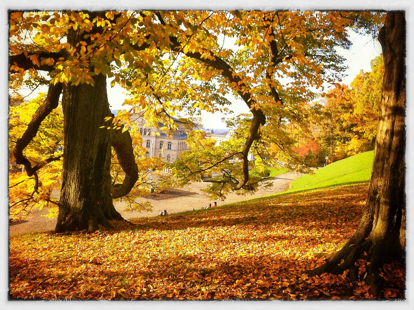 Ein Herbsttag in Bamberg 2012