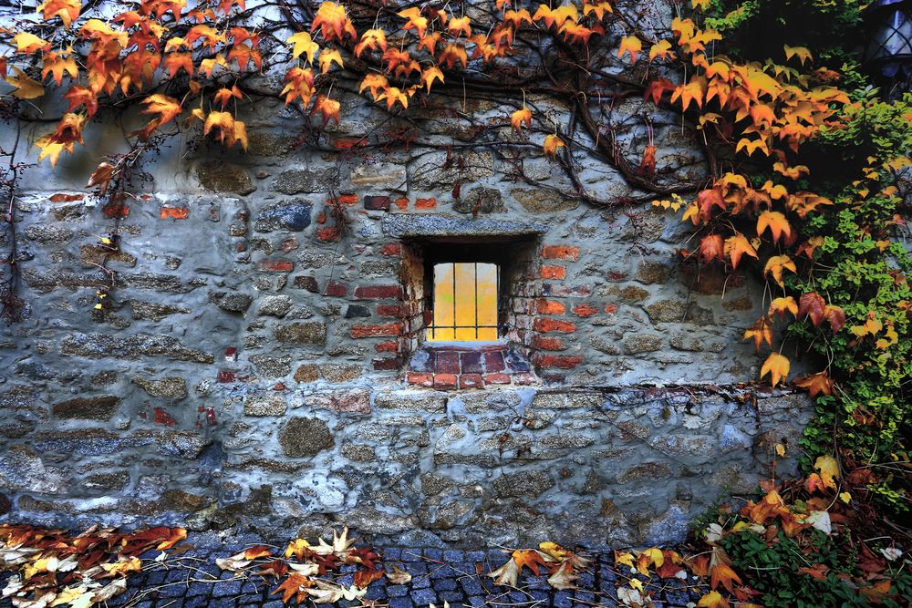 Ein Herbsttag in Bautzen 2