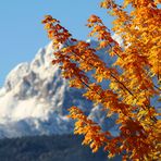 ...ein Herbsttag in den Bergen...