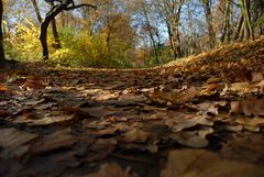 Ein Herbsttag in Hamburg