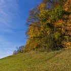 Ein Herbsttag in Wildhaus