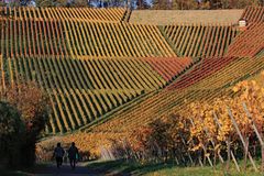 Ein Herbsttag wie aus dem Bilderbuch