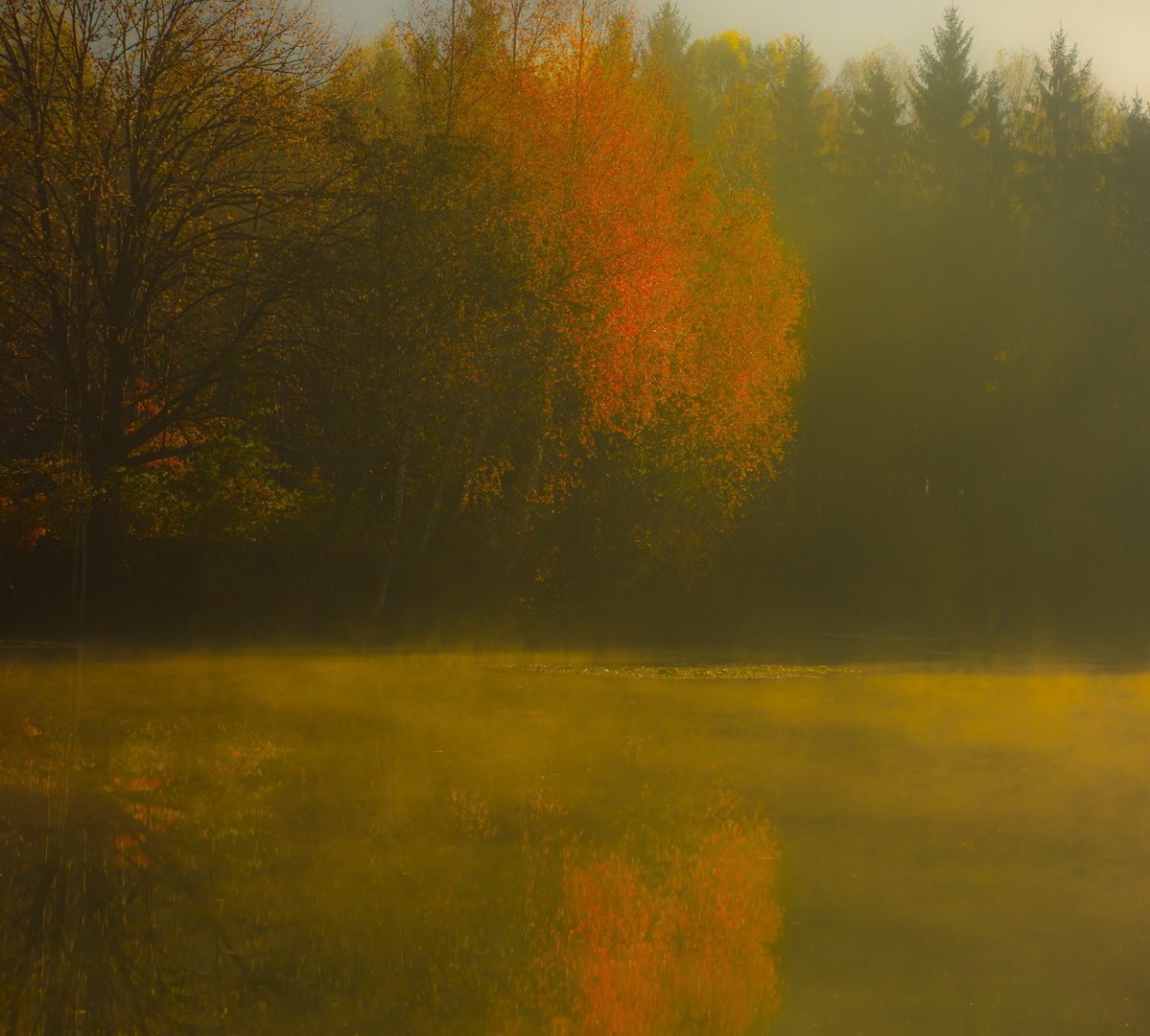 ... ein Herbsttag, wie ich keinen sah! ... die Luft ist still, als atmete man kaum ... (Hebbel)