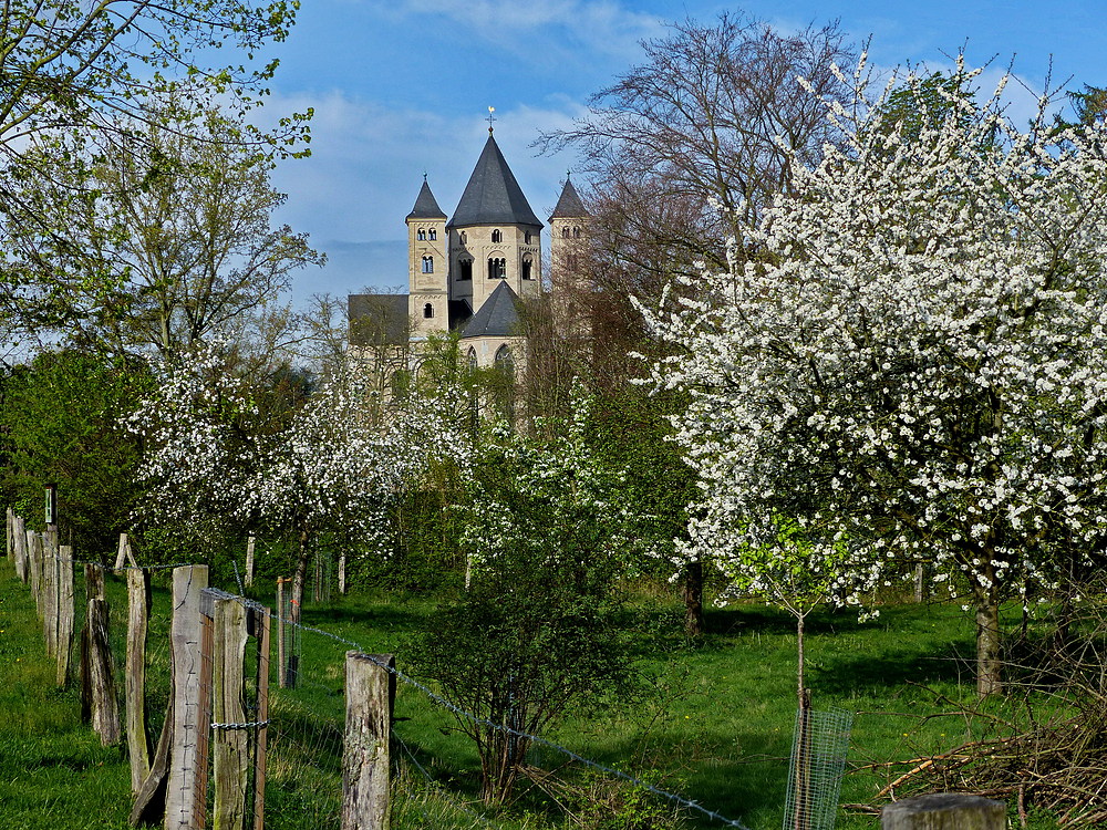 Ein herrlicher Frühlingstag