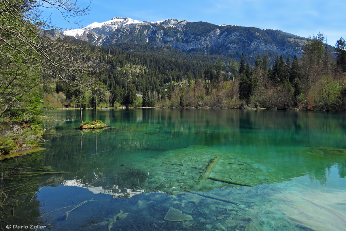 Ein herrlicher Frühlingstag am Crestasee