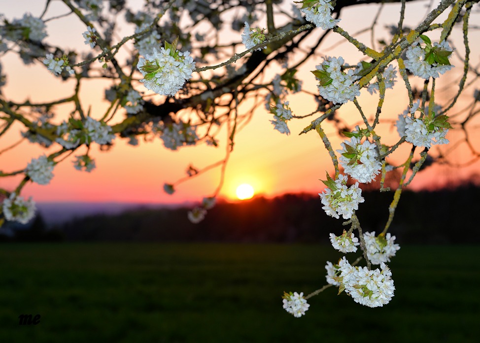 Ein herrlicher Frühlingstag verabschiedet sich