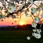 Ein herrlicher Frühlingstag verabschiedet sich