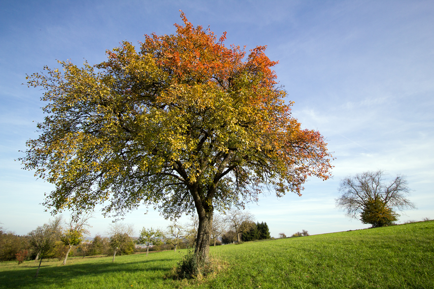 Ein herrlicher Herbsttag