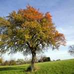 Ein herrlicher Herbsttag