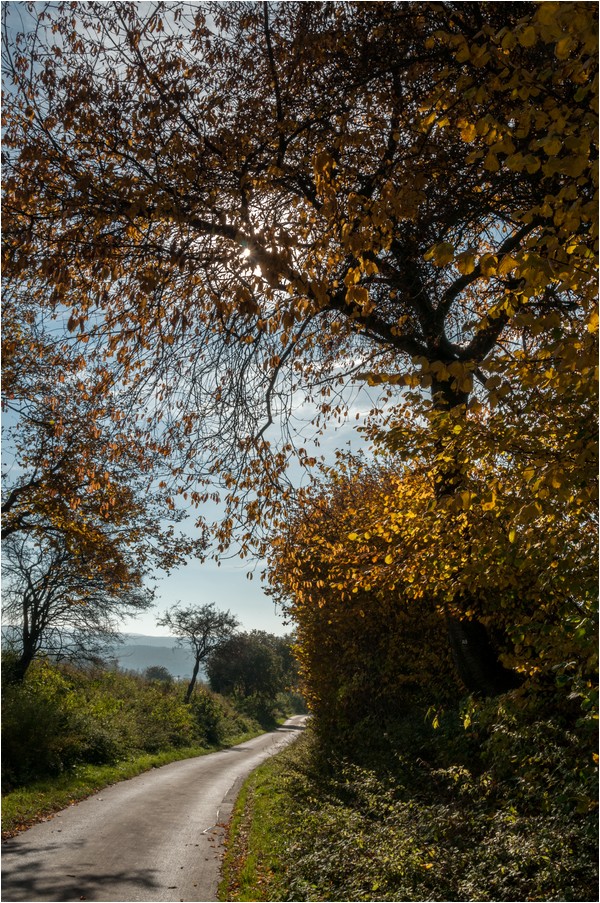 Ein herrlicher Herbsttag