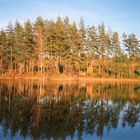 Ein herrlicher Herbsttag in Schweden (Västra-Boda)