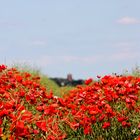 ein herrlicher Sommertag...