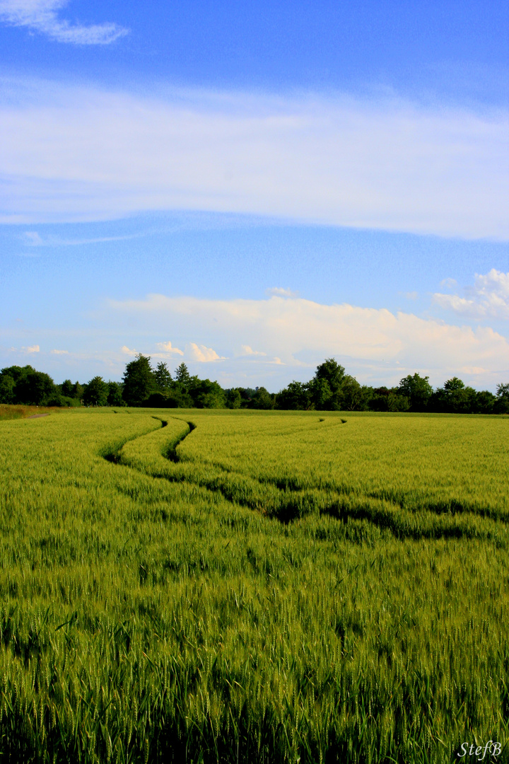 Ein herrlicher Sommertag