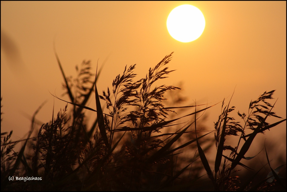 Ein herrlicher Spätsommer-Abend