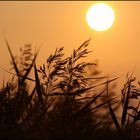 Ein herrlicher Spätsommer-Abend