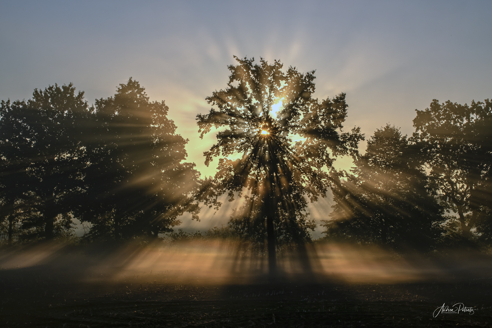 Ein herrlicher Spätsommer-Sonnenaufgang