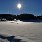 Ein herrlicher Tag im Schwarzwald