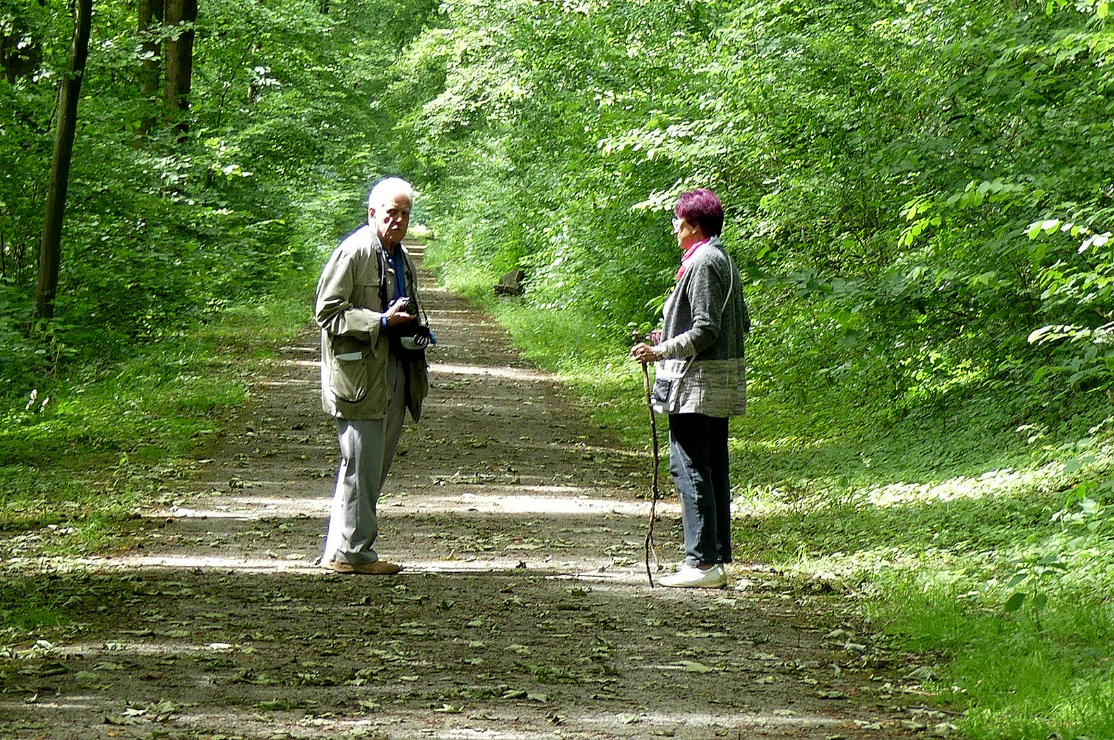 Ein herrlicher Wald- Spaziergang.