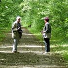 Ein herrlicher Wald- Spaziergang.