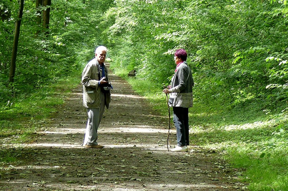 Ein herrlicher Wald Spaziergang. Foto & Bild wald, frühling, natur Bilder auf