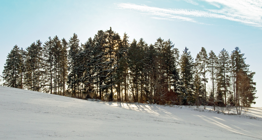 ein herrlicher Winter Morgen