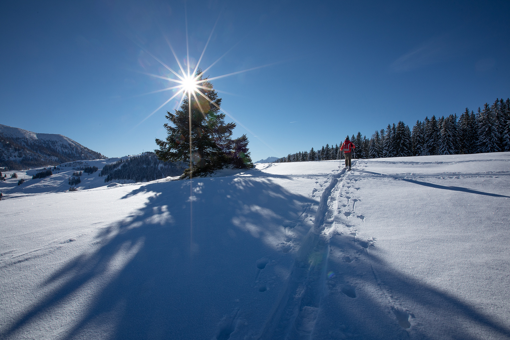 ein herrlicher Wintertag