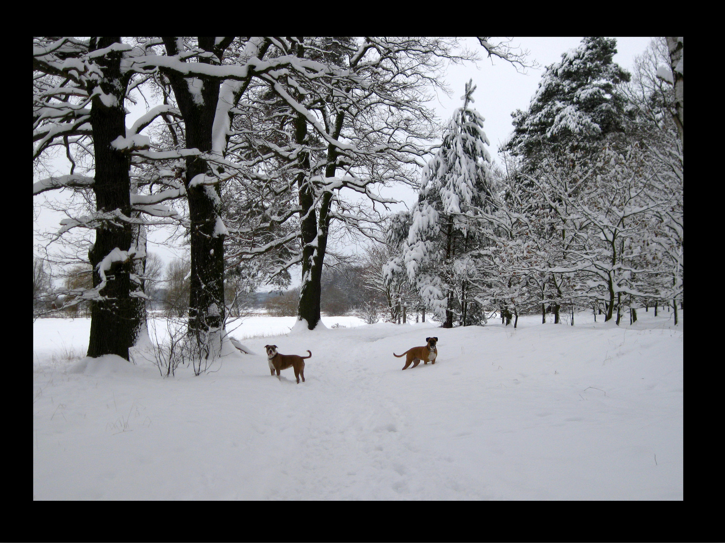 **Ein herrlicher Wintertag**