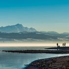 Ein herrlicher Wintertag am Bodensee 