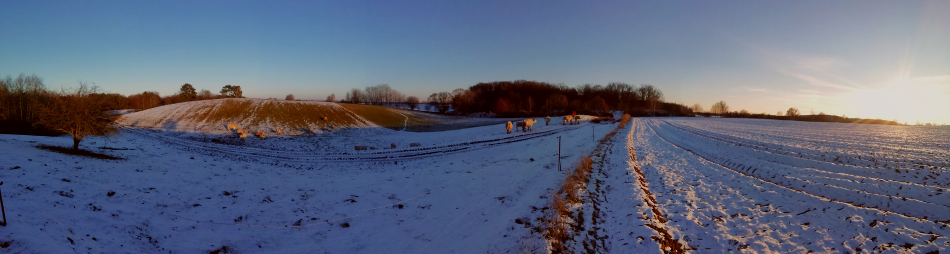 Ein herrlicher Wintertag geht auch mal zu Ende 