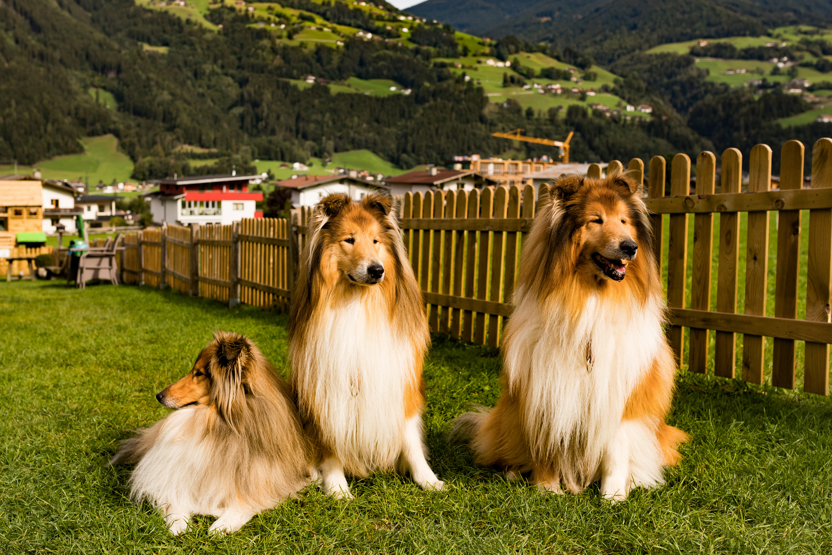 Ein herrliches Trio