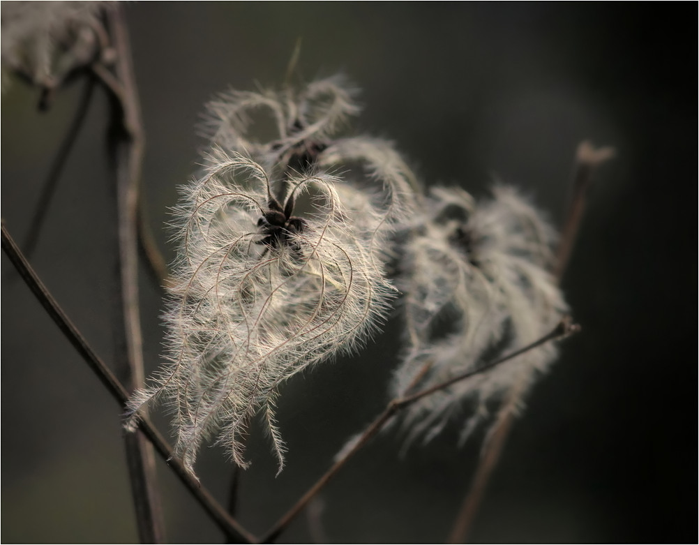 Ein herrliches Wintermotiv....