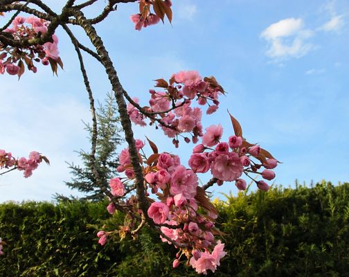 ein herrliches Wochenende