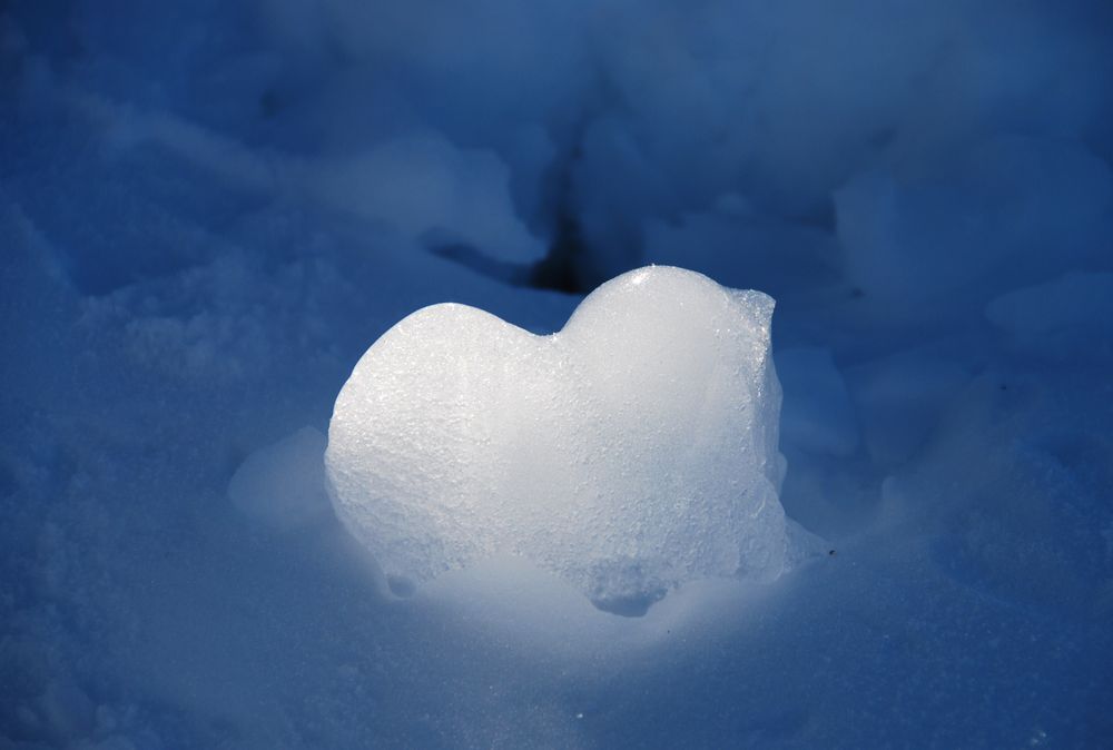 Ein Herz aus Eis Foto & Bild monatswettbewerbe spezial, 02februar