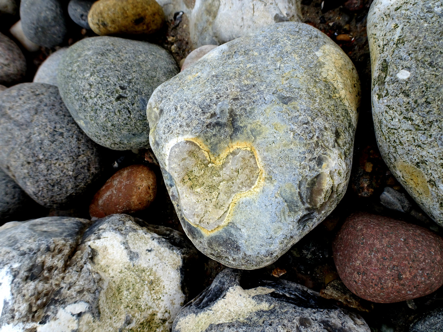 Ein Herz aus Stein?
