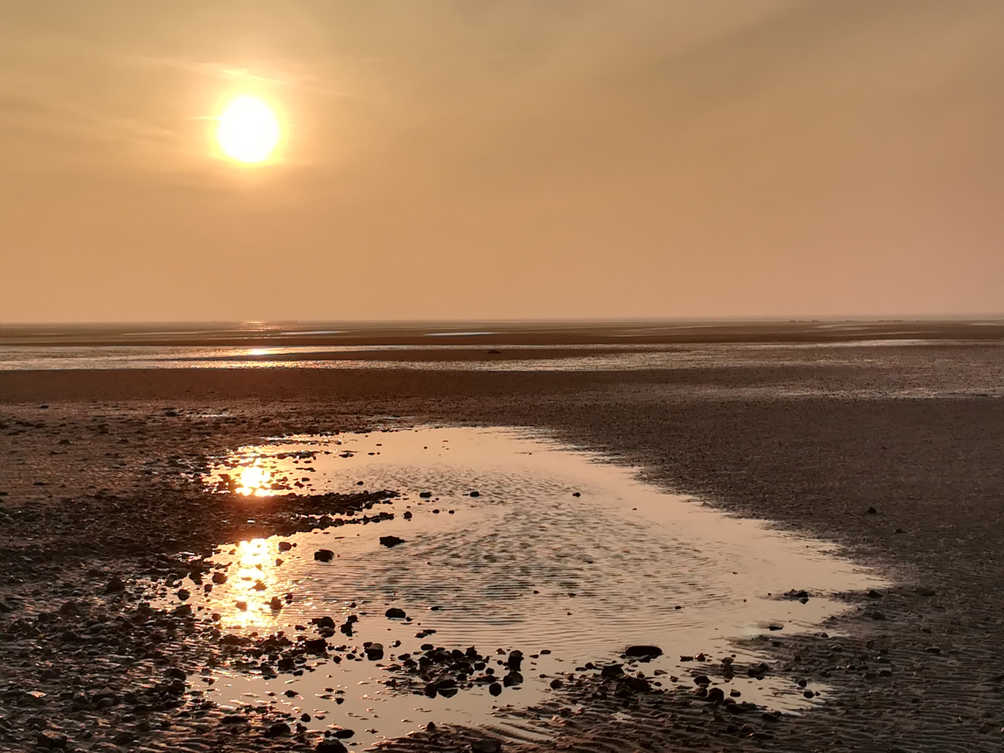 ein Herz für das Wattenmeer vor Föhr