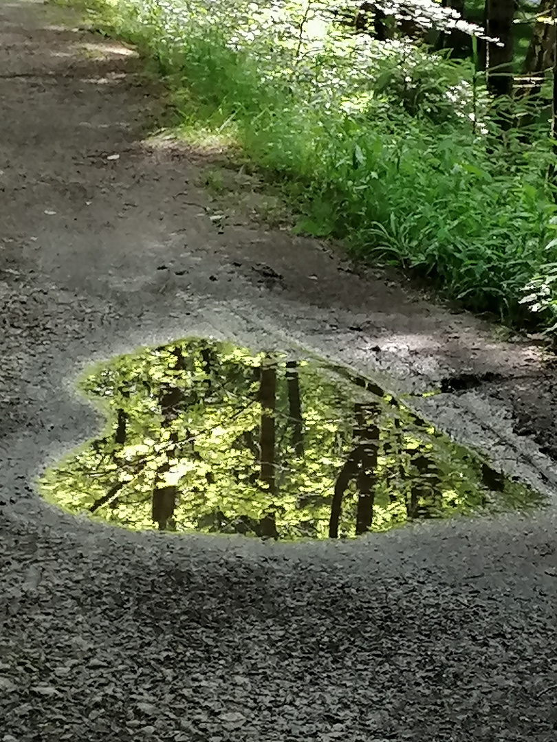 Ein Herz für den Wald 