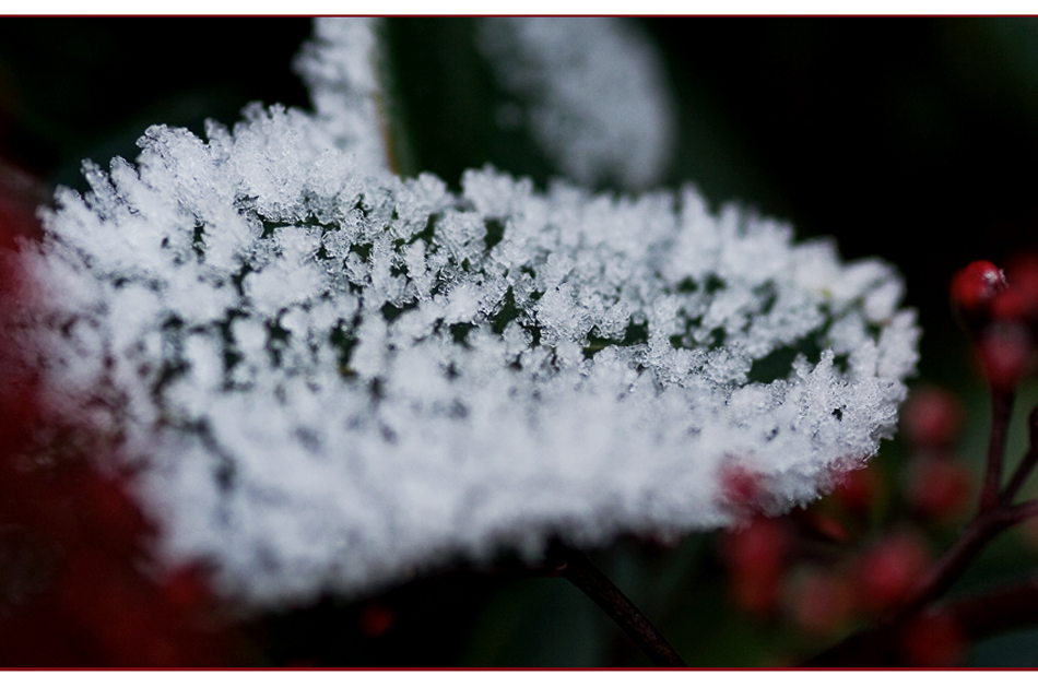 Ein Herz für den Winter