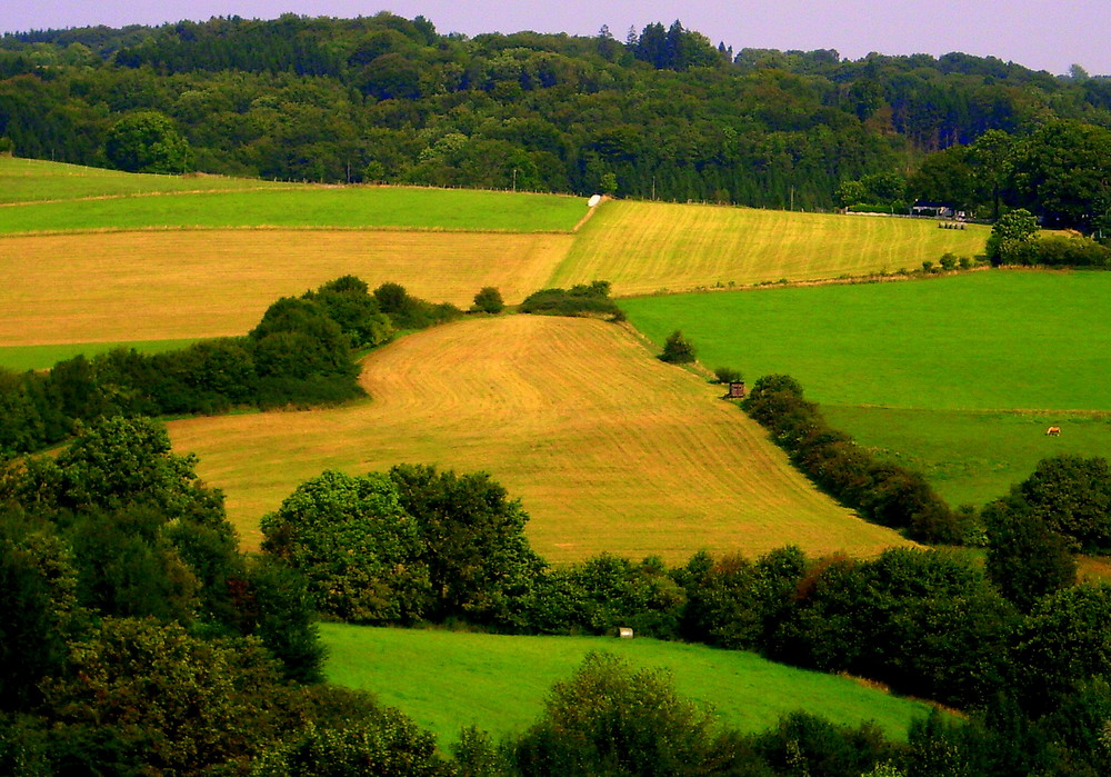 Ein Herz für die Landwirtschaft