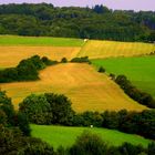 Ein Herz für die Landwirtschaft