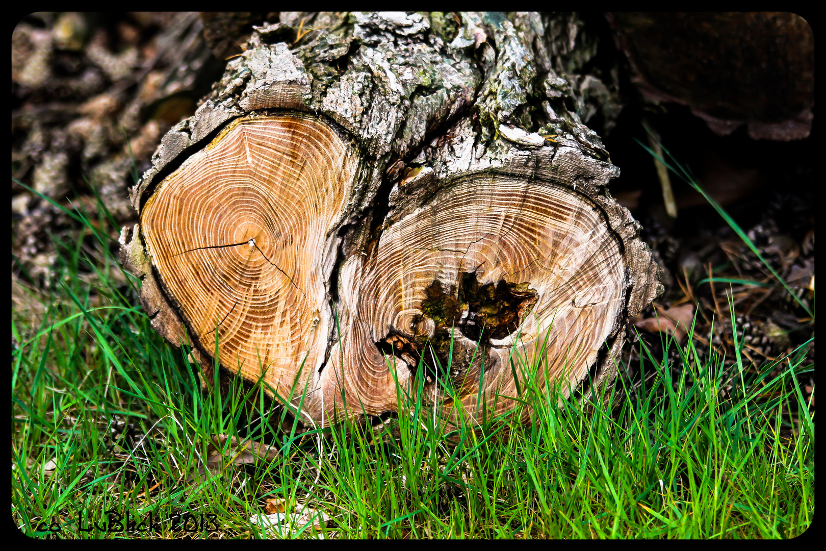 ein Herz für die Natur