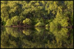 Ein Herz für die Natur... - oder: Das Herz der Natur...