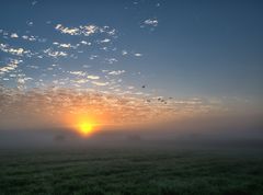 ein Herz für die Sonne