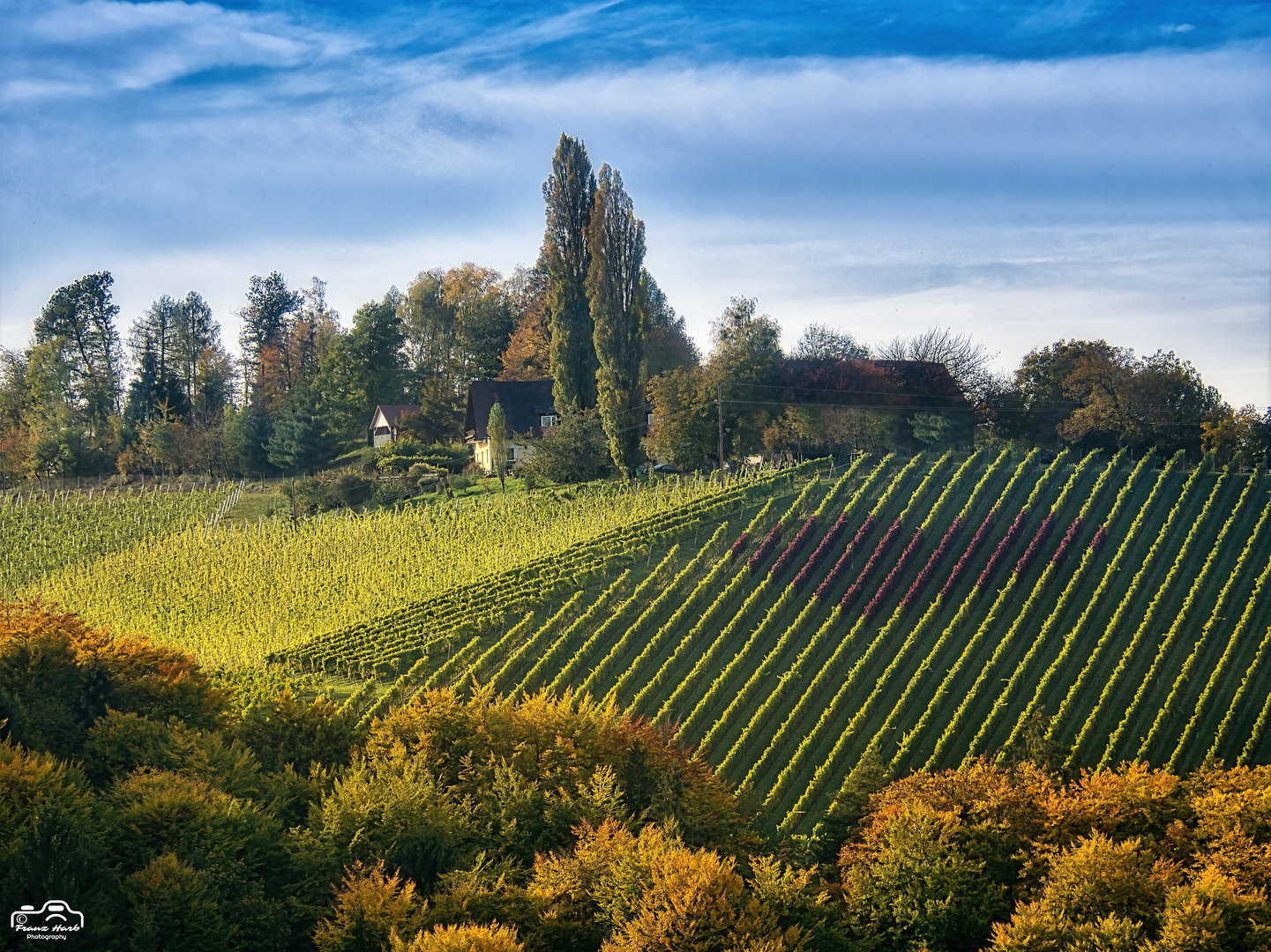 Ein Herz für die steirische Toskana!