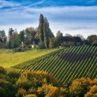 Ein Herz für die steirische Toskana!