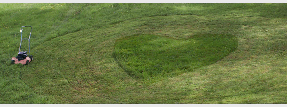 Ein Herz für eine liebe Landschaftsarchitektin....