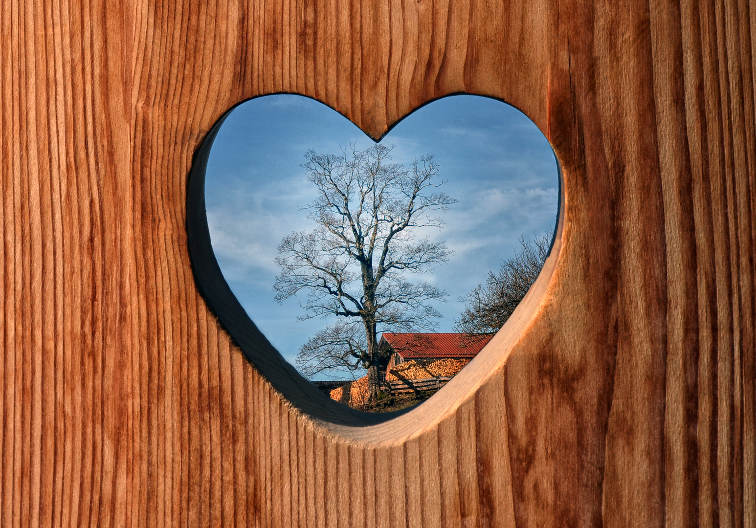 Ein Herz für Holz