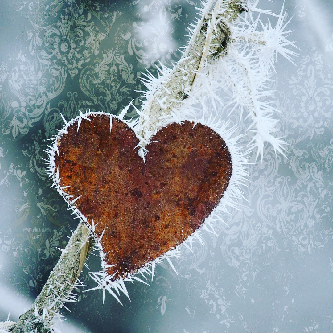 Ein Herz im Winter 