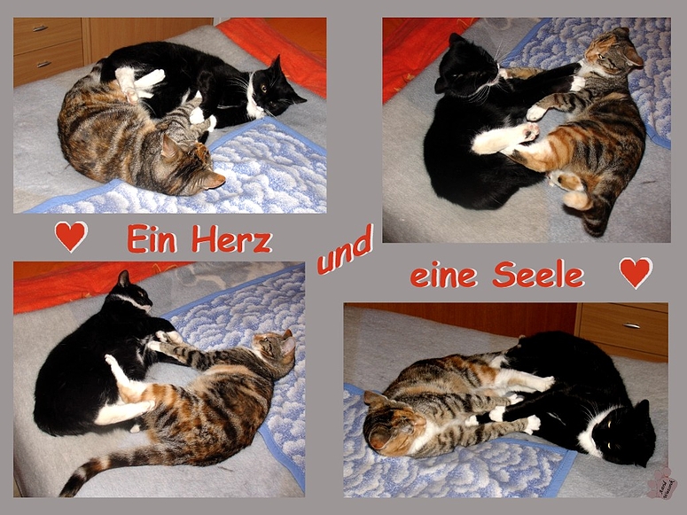 Ein Herz und eine Seele