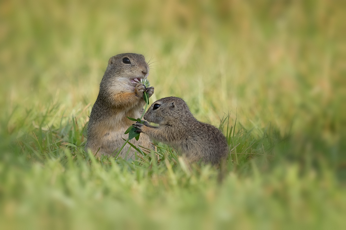 Ein herziges Duo