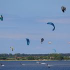 Ein Himmel voller Kite-Schirmen